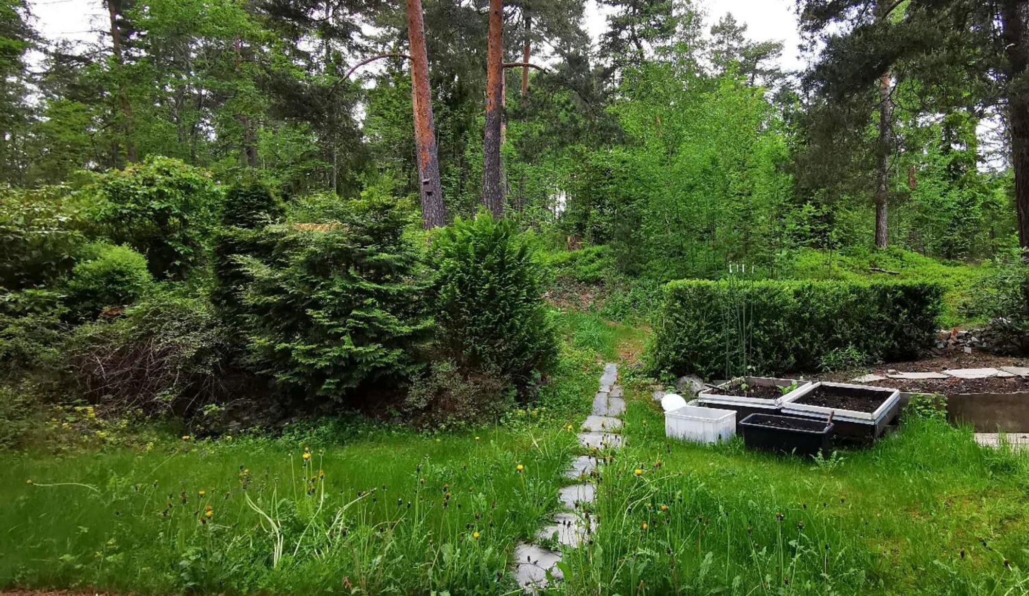 Holmenkollen Forest House Free Parking Διαμέρισμα Όσλο Εξωτερικό φωτογραφία